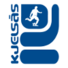 卡积沙斯logo